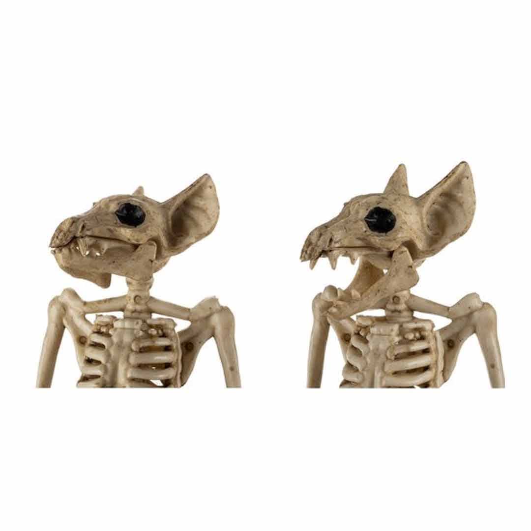 Kostra netopýra - dekorace 30cm, obrázek 3